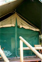 Savuti Tent 1997